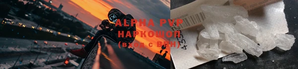 молекула духа Алексеевка