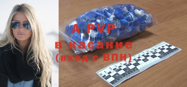 гидра Алексин