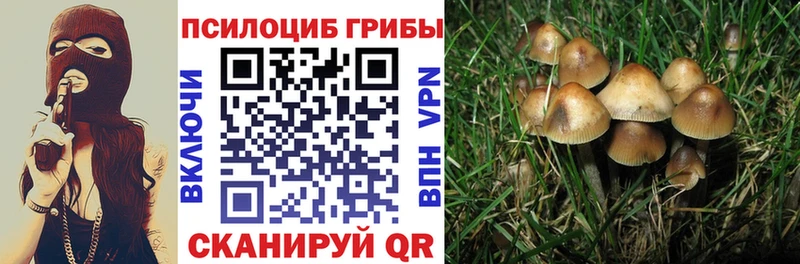 Псилоцибиновые грибы GOLDEN TEACHER  Ардон 
